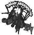 Lindy