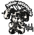 Patch