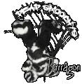 Perragon