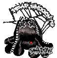 Shadow