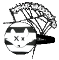 Haarspange