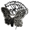 Haarspange